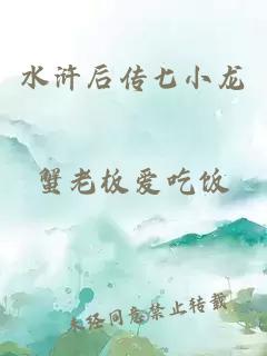 水浒后传七小龙