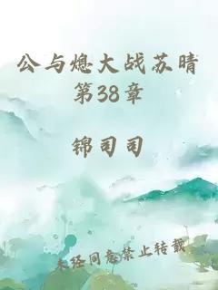 公与熄大战苏晴第38章