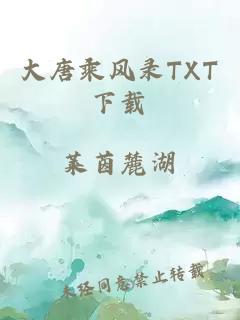 大唐乘风录TXT下载