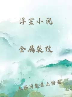 浮尘小说