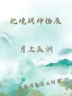 北境战神杨辰