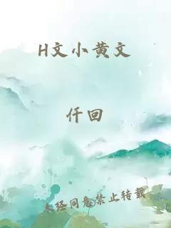 H文小黄文