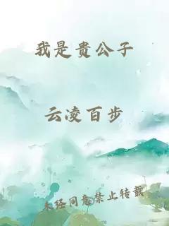 我是贵公子