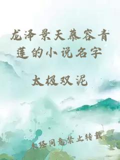 龙泽景天慕容青莲的小说名字