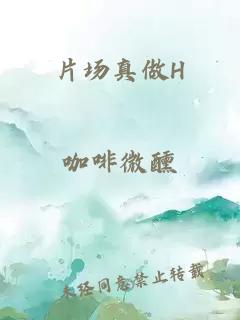 片场真做H