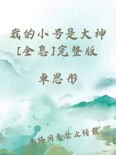 我的小号是大神[全息]完整版