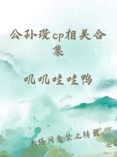 公孙瓒cp相关合集