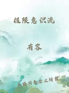 极限意识流