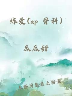 炼爱(np 骨科)