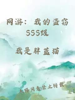 网游：我的盗窃SSS级