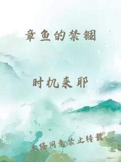 章鱼的禁锢