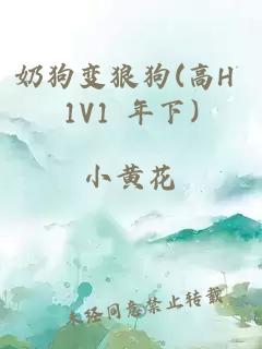 奶狗变狼狗(高H 1V1 年下)