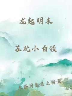 龙起明末