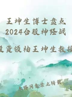 王坤生博士盘点2024台股神经战