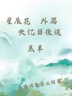 星辰花　外篇　　失忆日後谈