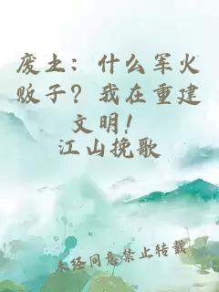 废土：什么军火贩子？我在重建文明！