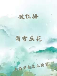 傲红梅