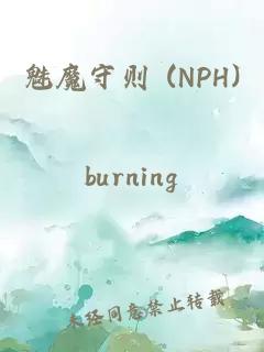 魅魔守则 (NPH)