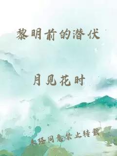 黎明前的潜伏